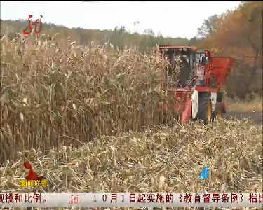 中国粮仓看龙江（二）：农民购置农机政府帮忙