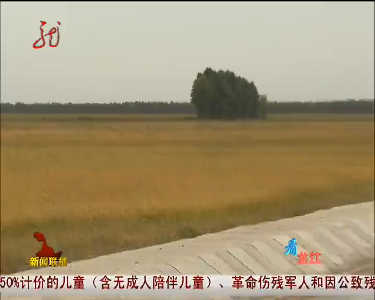 中国粮仓看龙江（三）：水利兴则农业兴