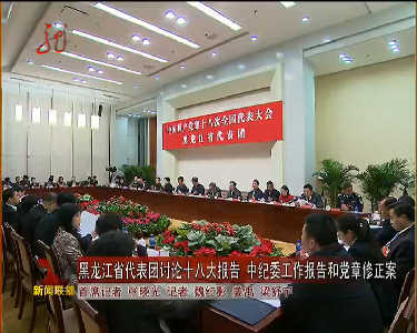 黑龙江省代表团讨论十八大报告 中纪委工作报告和党章修正案