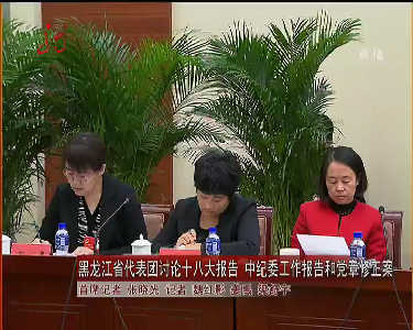 黑龙江代表团讨论十八大报告中纪委工作报告和党章修正案