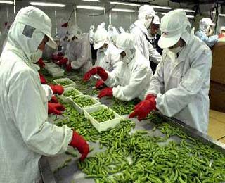 关于合力打造黑龙江绿色食品产业升级版的硕士毕业论文范文