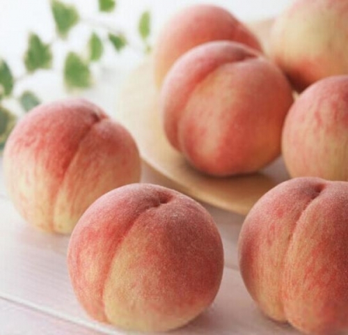 夏季吃桃子的功效与作用 桃子五大禁忌需知_美