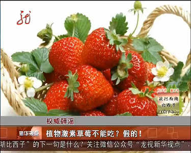 权威辟谣：植物激素草莓不能吃？假的！